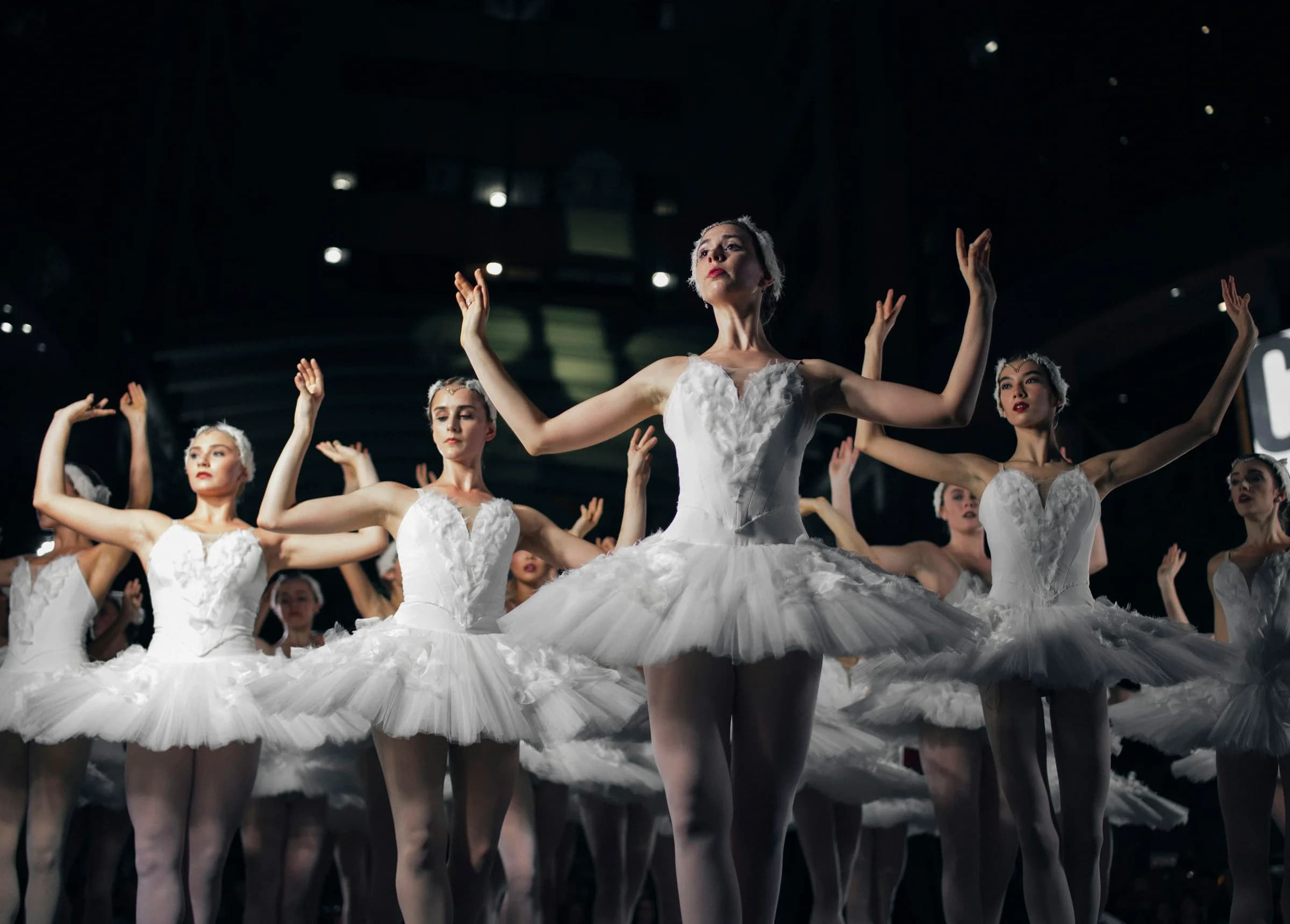 Corpo di ballo in tutù bianco in posa